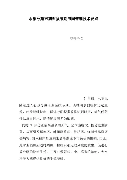 水稻分蘖末期至拔节期田间管理技术要点