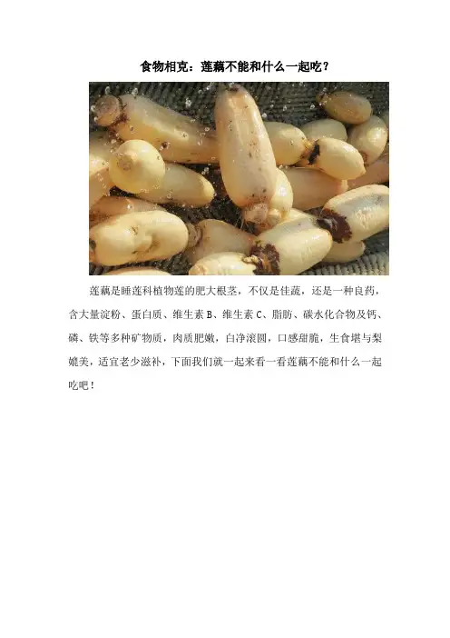 食物相克：莲藕不能和什么一起吃？