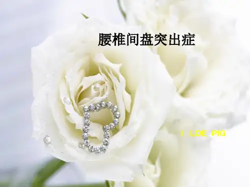 腰间盘突出症PPT课件48537