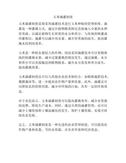 玉米滴灌制度