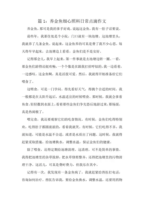 养金鱼细心照料日常点滴作文精选10篇