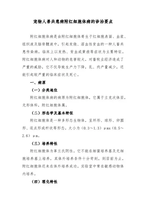 宠物人兽共患病附红细胞体病的诊治要点