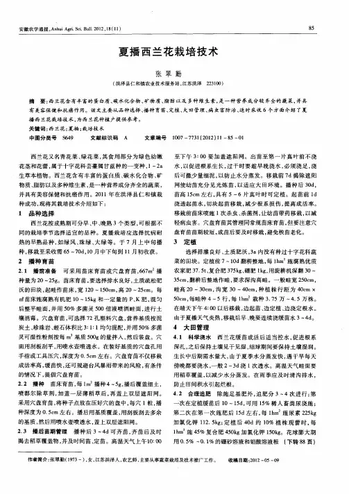 夏播西兰花栽培技术