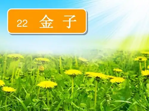 苏教版三上《金子》ppt