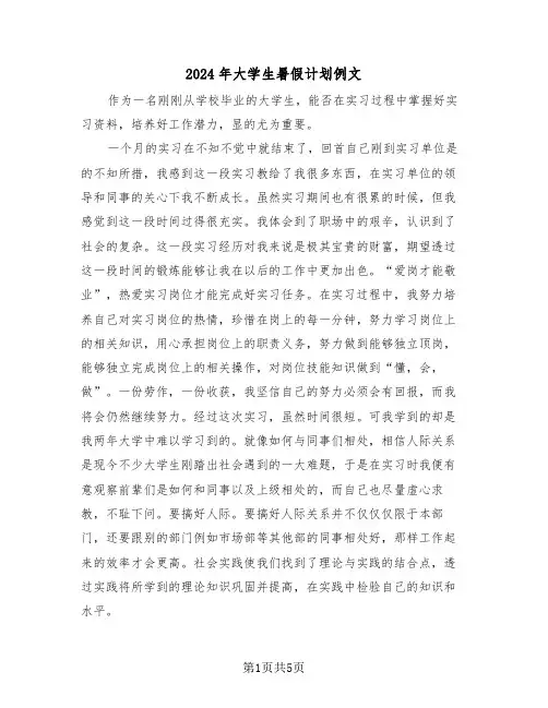 2024年大学生暑假计划例文(二篇)