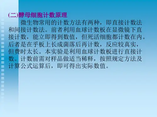 实验二 酵母菌大小的测定与细胞计数-PPT课件