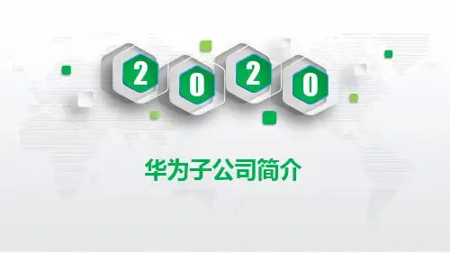 华为子公司简介PPT课件