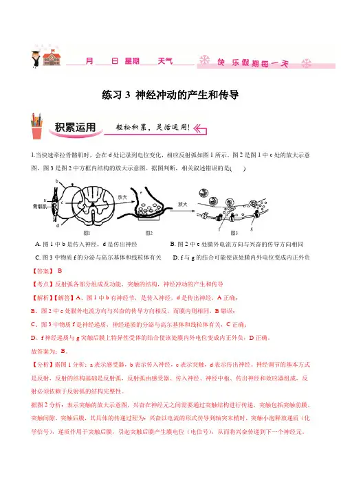 练习3 神经冲动的产生和传导-高二生物(人教版2019)(解析版)