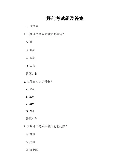 解剖考试题及答案