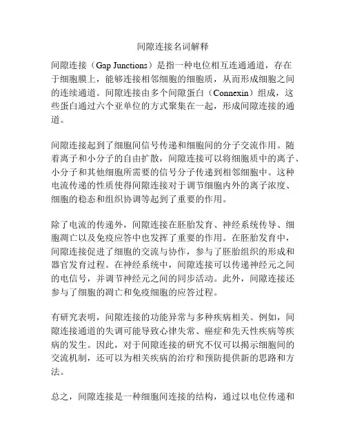 间隙连接名词解释