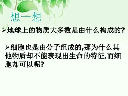 细胞中的元素和化合物PPT课件
