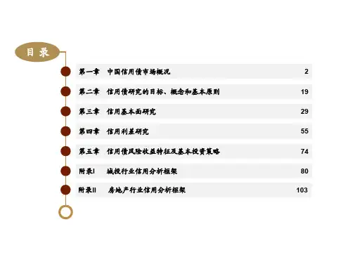 2018年中国信用债市场分析报告