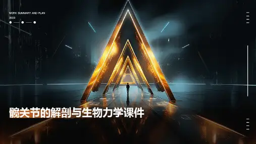 髋关节的解剖己生物力学课件