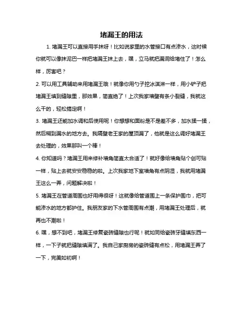 堵漏王的用法