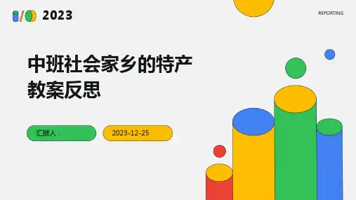中班社会家乡的特产教案反思