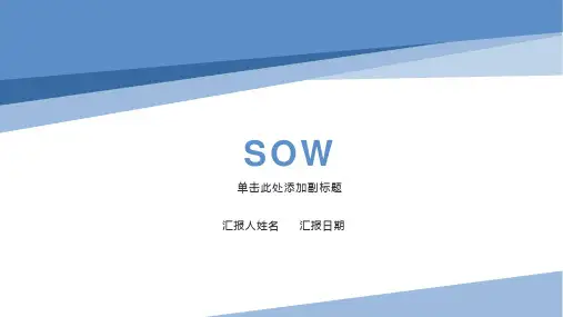 SOW工作范围说明书