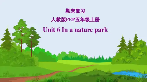 人教版(PEP)五年级上册Unit6Inanaturepark期末复习课件(含知识点、练习及答案)