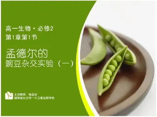 10.03.25 高一生物《第1章第1节 孟德尔的豌豆杂交实验(一)》