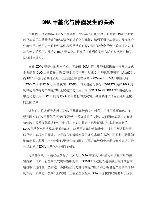 DNA甲基化与肿瘤发生的关系