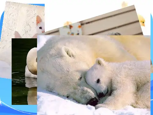浙教版小学三年级下册科学第一单元第一课植物新生命的开始