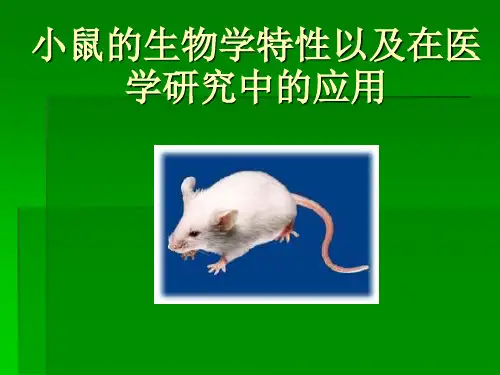 小鼠的生物学特性以及在医学研究中的应用 PPT课件
