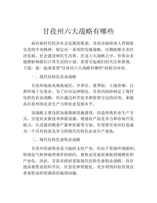 甘孜州六大战略有哪些