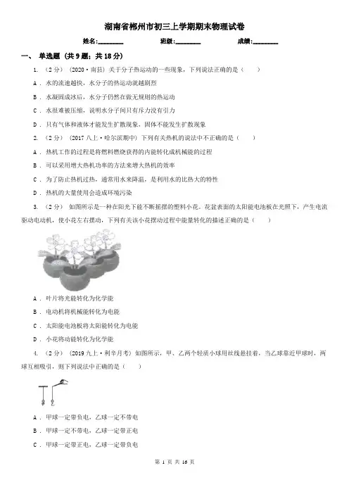 湖南省郴州市初三上学期期末物理试卷