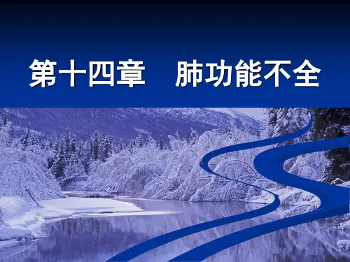 第14章 肺功能不全(病生)精品PPT课件