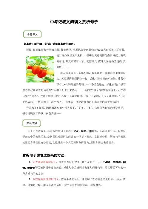 2021年中考语文热点专题记叙文阅读之赏析句子的表达效果(知识点梳理练习)