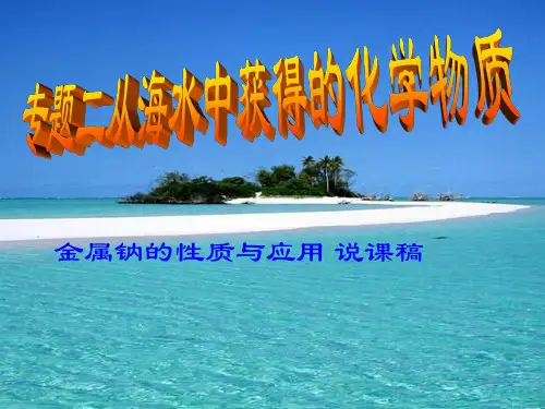 2.1 金属钠的性质与应用(说课课件)-高中化学人教版(2019)必修 第一册