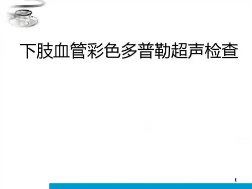 下肢动脉讲课稿PPT课件
