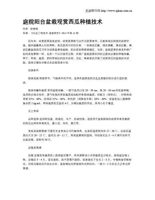 庭院阳台盆栽观赏西瓜种植技术