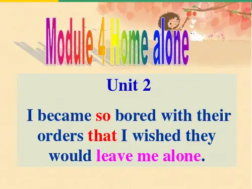 新外研版九年级上M4U2