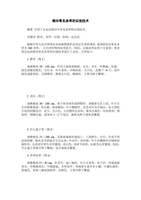 稻田常见杂草的识别技术