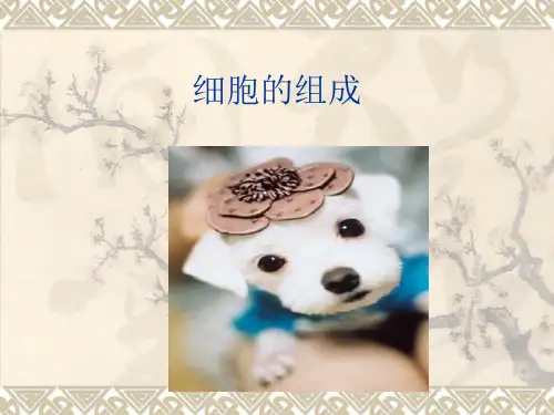 细胞的组成