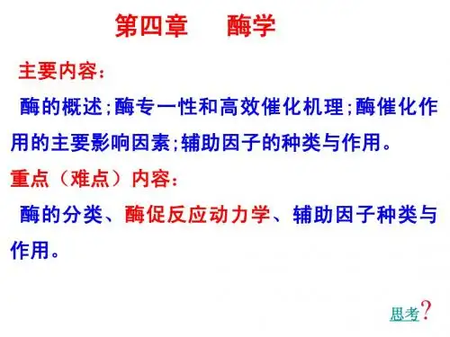 生物化学_04 酶类化学