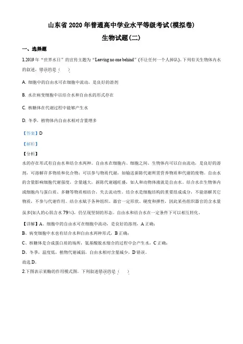 山东省2019-2020学年普通高中学业水平等级考试(模拟卷二)生物试题(解析版)