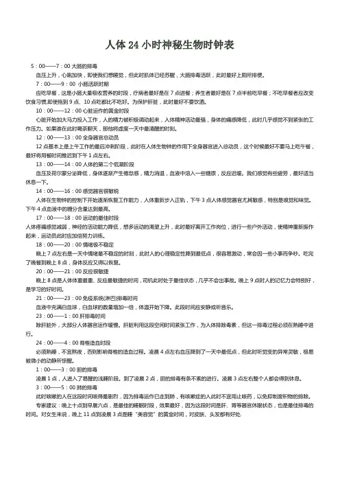 人体24小时神秘生物时钟表