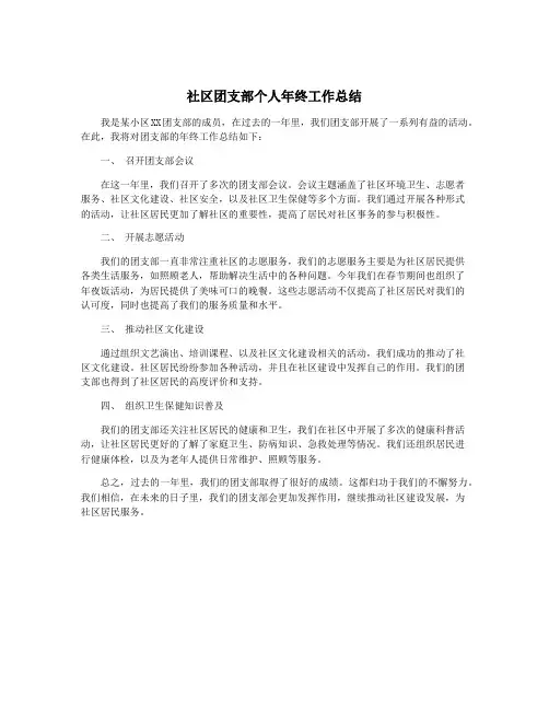 社区团支部个人年终工作总结