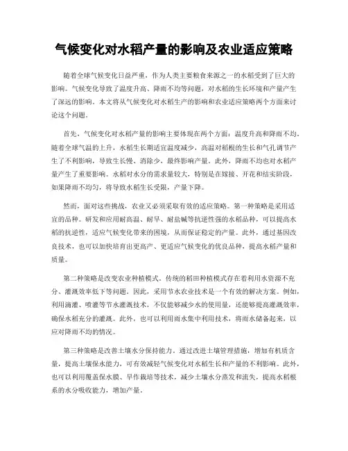 气候变化对水稻产量的影响及农业适应策略