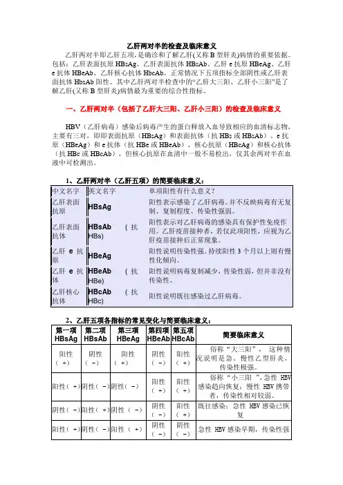 乙肝两对半的检查及临床意义