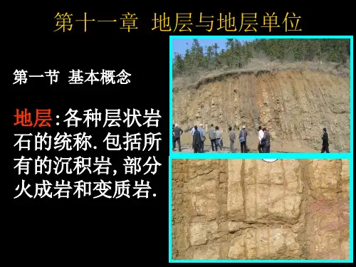 第十一章  地层与地层单位
