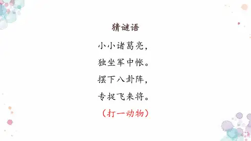 蜘蛛开店-ppt课件