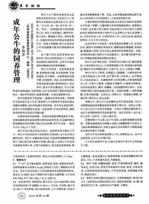 成年公牛的饲养管理
