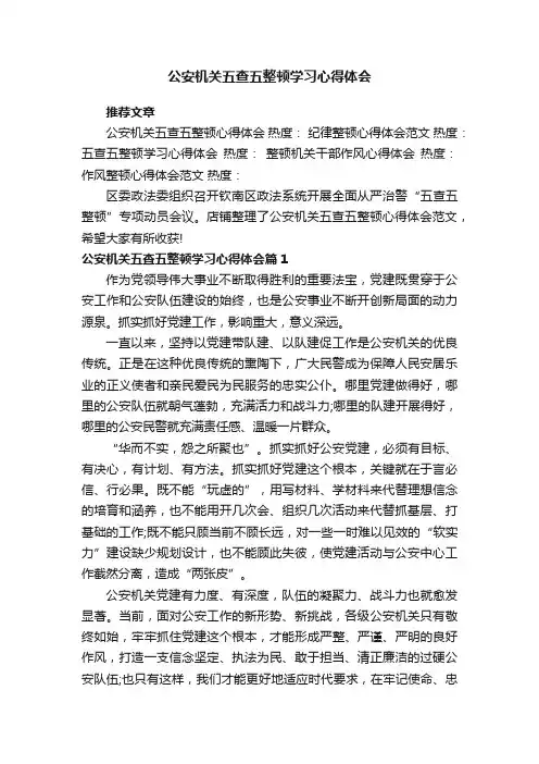 公安机关五查五整顿学习心得体会