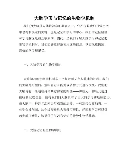 大脑学习与记忆的生物学机制