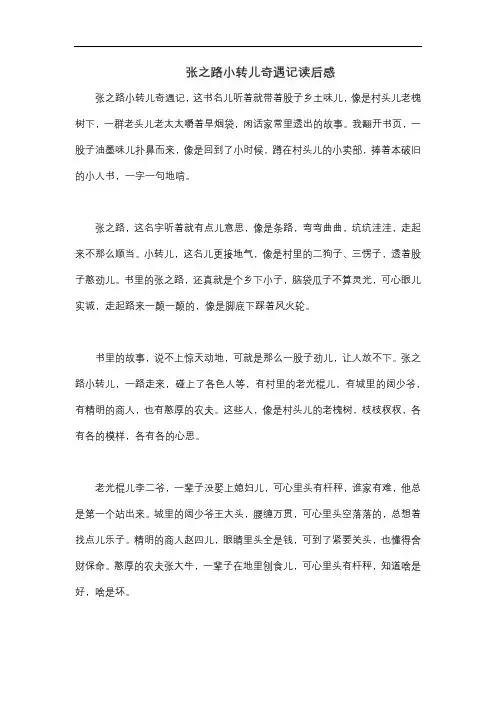张之路小转儿奇遇记读后感