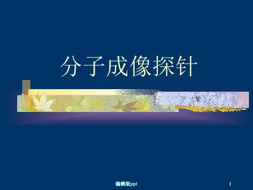 分子成像探针PPT课件