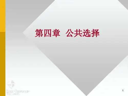 公共选择-财政学