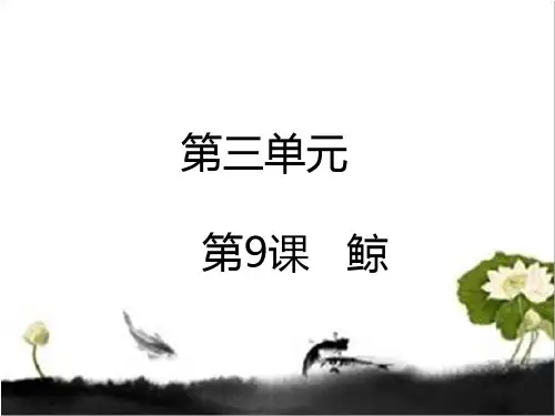 五年级上册语文课件第9课 鲸课件_人教新课标
